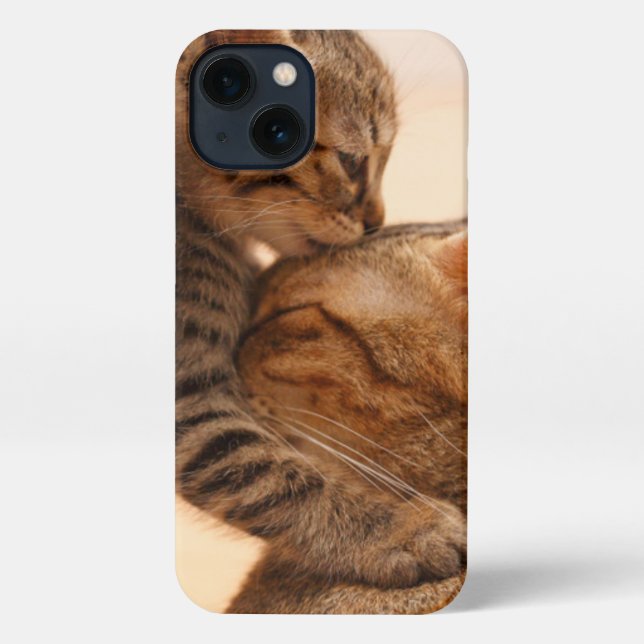 Niedliche Kleintiere | Tabby Kitten Kiss iPhone Hülle (Rückseite)
