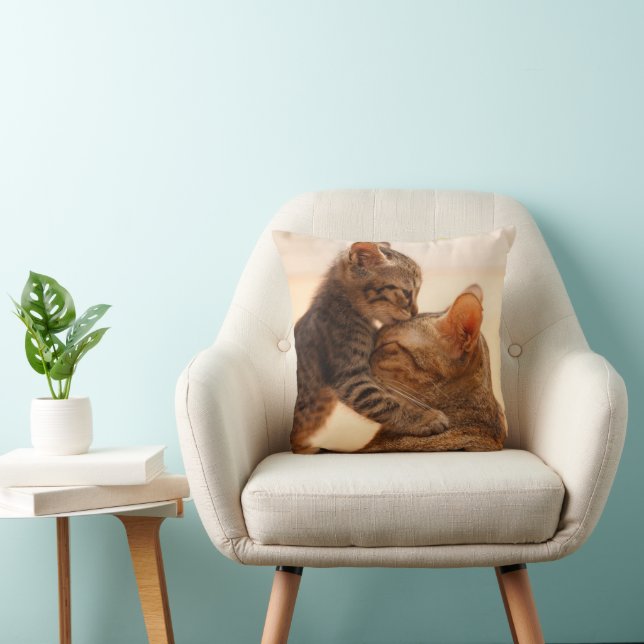 Niedliche Kleintiere | Tabby Kitten Kiss Kissen (Stuhl )