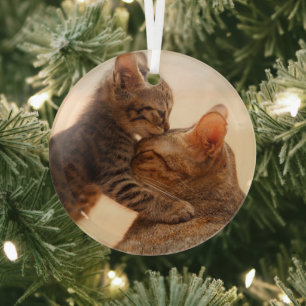 Niedliche Kleintiere Tabby Kitten Kiss Ornament Aus Glas