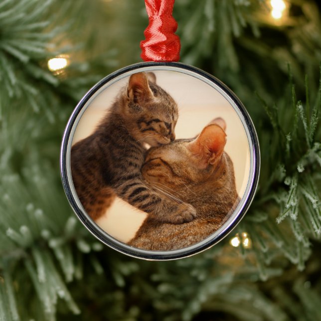 Niedliche Kleintiere | Tabby Kitten Kiss Ornament Aus Metall (Baum)