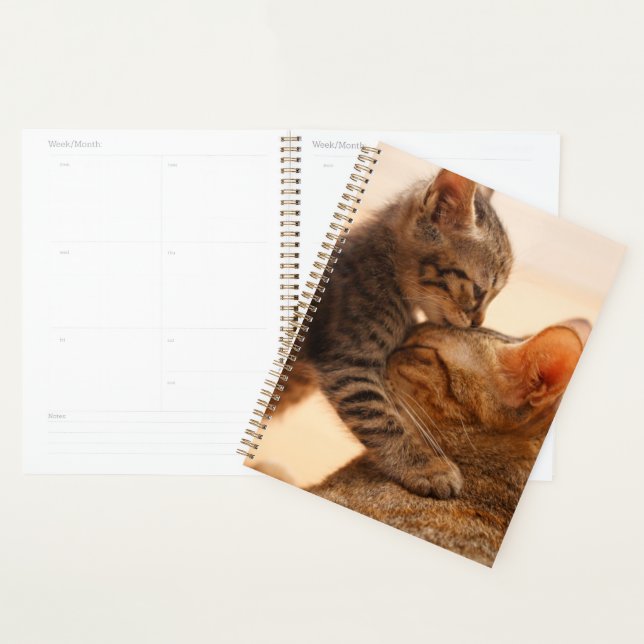 Niedliche Kleintiere | Tabby Kitten Kiss Planer (Anzeige)