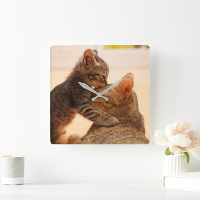 Niedliche Kleintiere | Tabby Kitten Kiss Quadratische Wanduhr (Zuhause)