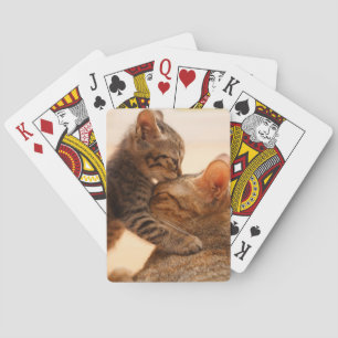 Niedliche Kleintiere   Tabby Kitten Kiss Spielkarten