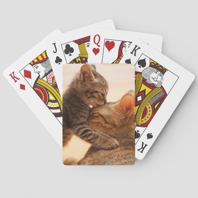 Niedliche Kleintiere | Tabby Kitten Kiss Spielkarten (Rückseite)