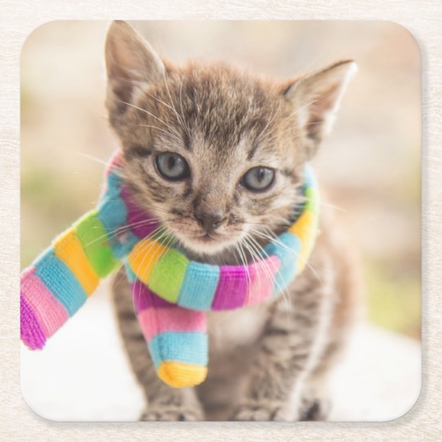 Niedliche Kleintiere | Tabby Kitten Rainbow Scarf Rechteckiger Pappuntersetzer (Vorderseite)
