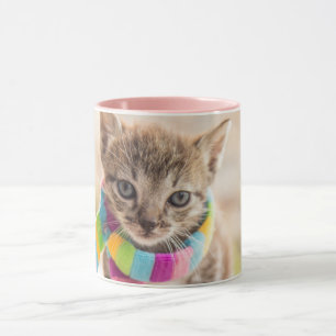 Niedliche Kleintiere Tabby Kitten Rainbow Scarf Tasse