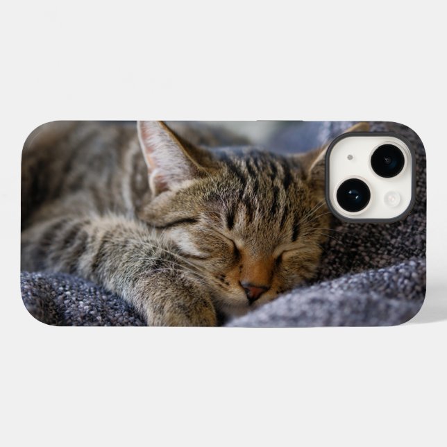 Niedliche Kleintiere | Tabby Kitten Schlafen Case-Mate iPhone 14 Hülle (Rückseite (Horizontal))