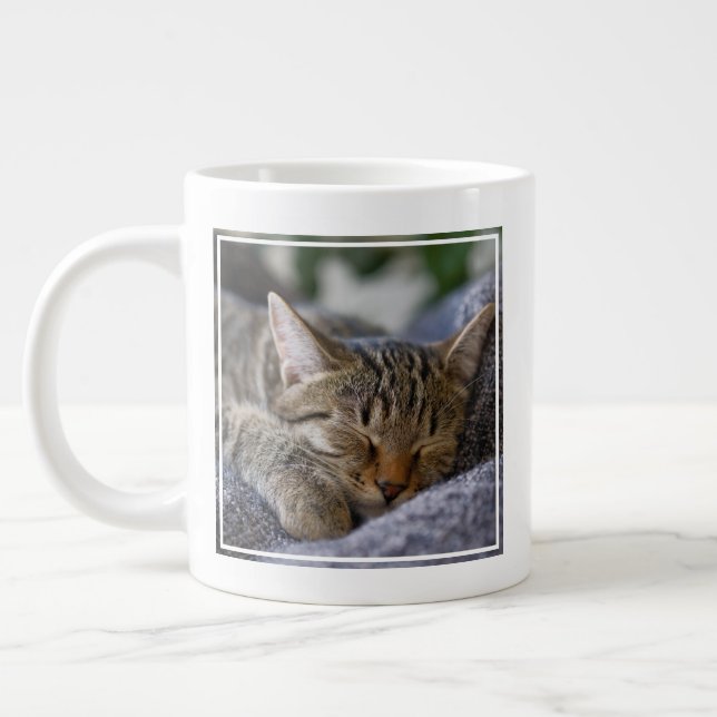Niedliche Kleintiere | Tabby Kitten Schlafen Jumbo-Tasse (Links)