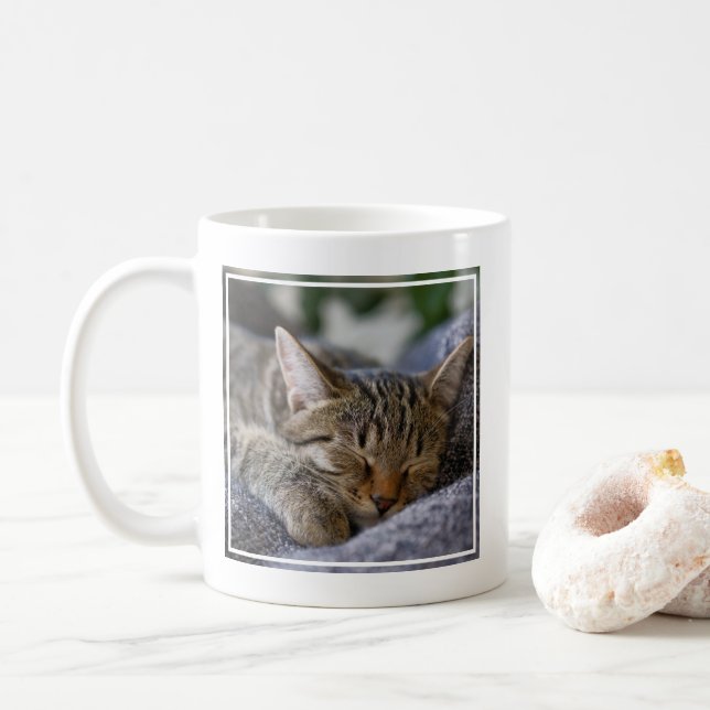 Niedliche Kleintiere | Tabby Kitten Schlafen Kaffeetasse (Mit Donut)