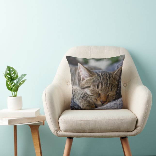 Niedliche Kleintiere | Tabby Kitten Schlafen Kissen (Stuhl )