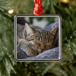 Niedliche Kleintiere   Tabby Kitten Schlafen Ornament Aus Metall