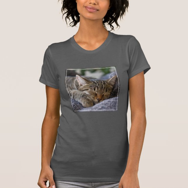 Niedliche Kleintiere | Tabby Kitten Schlafen T-Shirt (Vorderseite)
