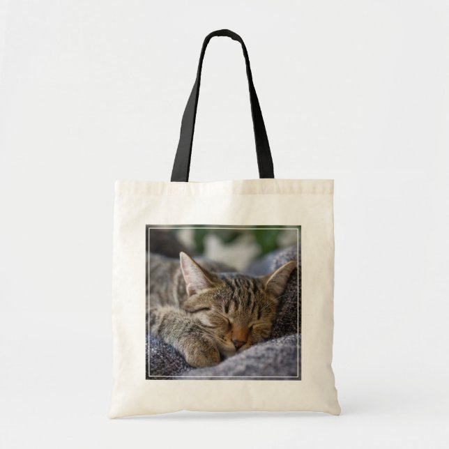 Niedliche Kleintiere | Tabby Kitten Schlafen Tragetasche (Vorne)
