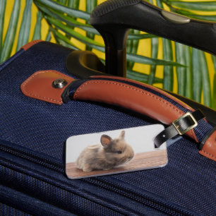 Niedliche Kleintiere   Tiny Baby Bunny Gepäckanhänger