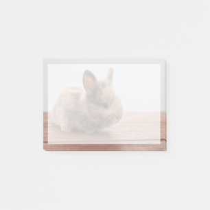 Niedliche Kleintiere   Tiny Baby Bunny Post-it Klebezettel