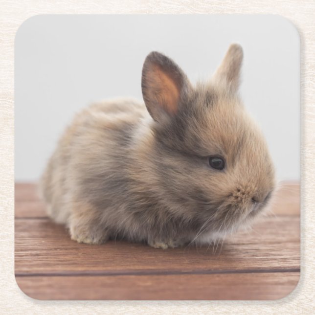 Niedliche Kleintiere | Tiny Baby Bunny Rechteckiger Pappuntersetzer (Vorderseite)