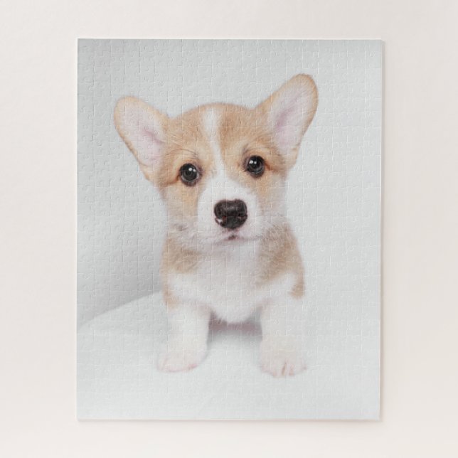 Niedliche Kleintiere | Tiny Corgi (Vertikal)