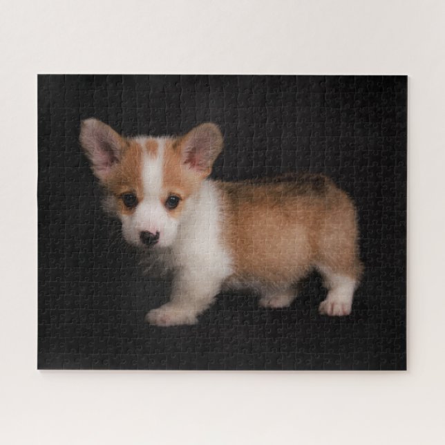 Niedliche Kleintiere | Tiny Corgi (Horizontal)