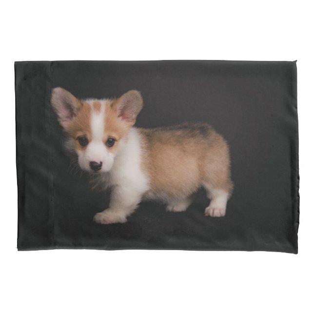 Niedliche Kleintiere | Tiny Corgi Kissenbezug (Vorderseite)
