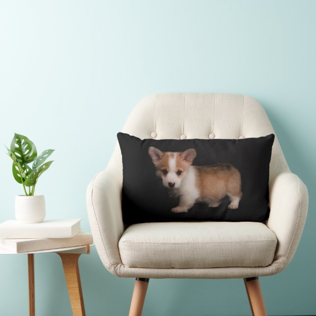 Niedliche Kleintiere | Tiny Corgi Lendenkissen (Stuhl )