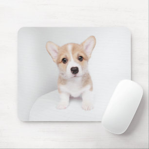 Niedliche Kleintiere Tiny Corgi Mousepad