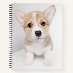 Niedliche Kleintiere   Tiny Corgi Notizbuch