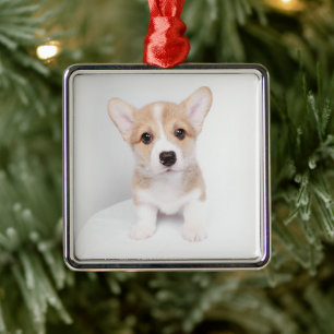 Niedliche Kleintiere   Tiny Corgi Ornament Aus Metall