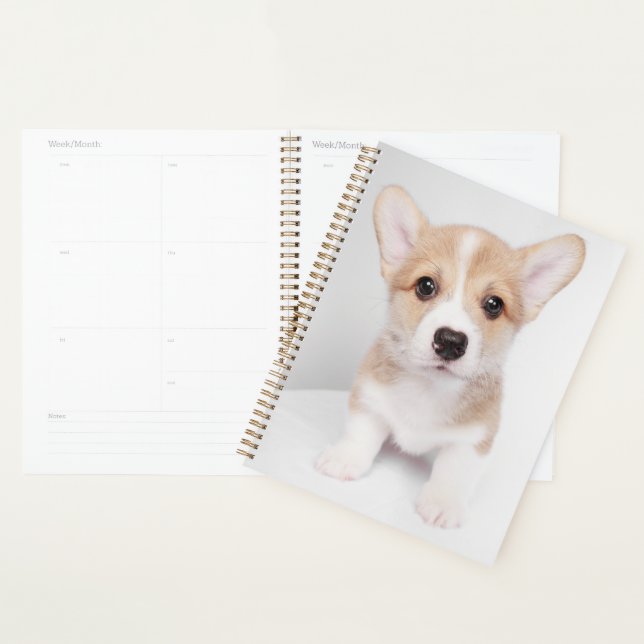 Niedliche Kleintiere | Tiny Corgi Planer (Anzeige)