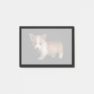 Niedliche Kleintiere Tiny Corgi Post-it Klebezettel