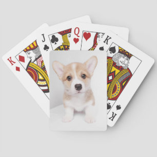 Niedliche Kleintiere   Tiny Corgi Spielkarten