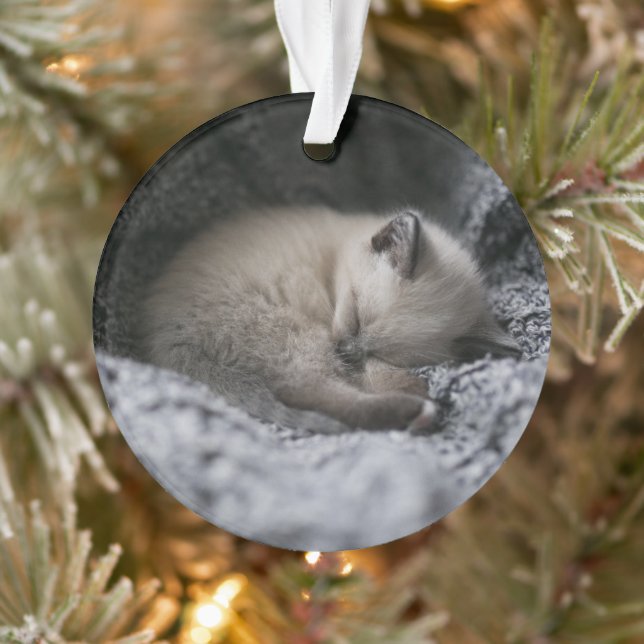 Niedliche Kleintiere | Tiny Kitten Schlafen Ornament (Baum)