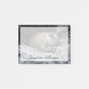 Niedliche Kleintiere   Tiny Kitten Schlafen Post-it Klebezettel