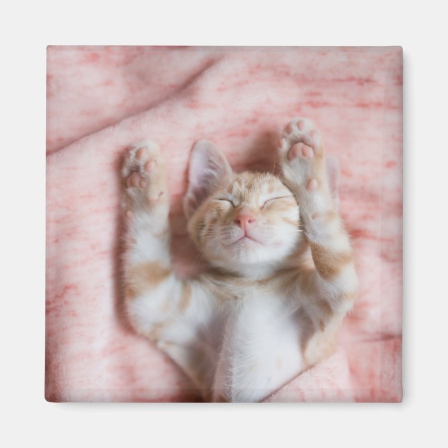 Niedliche Kleintiere | Tiny Orange Striped Kitten Magnet (Vorne)