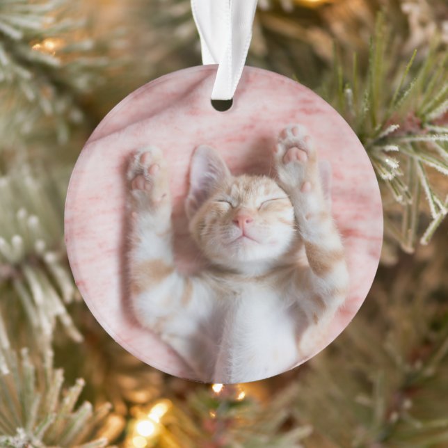 Niedliche Kleintiere | Tiny Orange Striped Kitten Ornament (Baum)