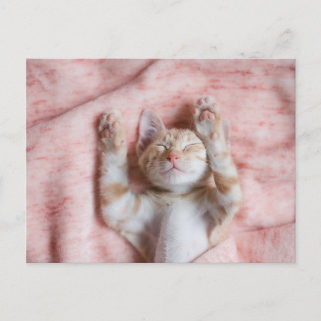 Niedliche Kleintiere | Tiny Orange Striped Kitten Postkarte (Vorderseite)