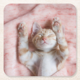 Niedliche Kleintiere Tiny Orange Striped Kitten Rechteckiger Pappuntersetzer
