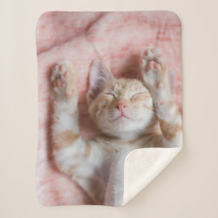 Niedliche Kleintiere Tiny Orange Striped Kitten Sherpadecke