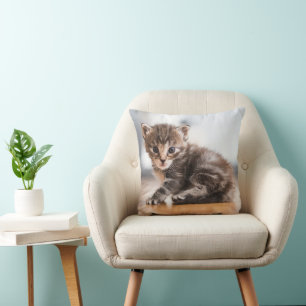 Niedliche Kleintiere Tiny Tabby Kitten Kissen