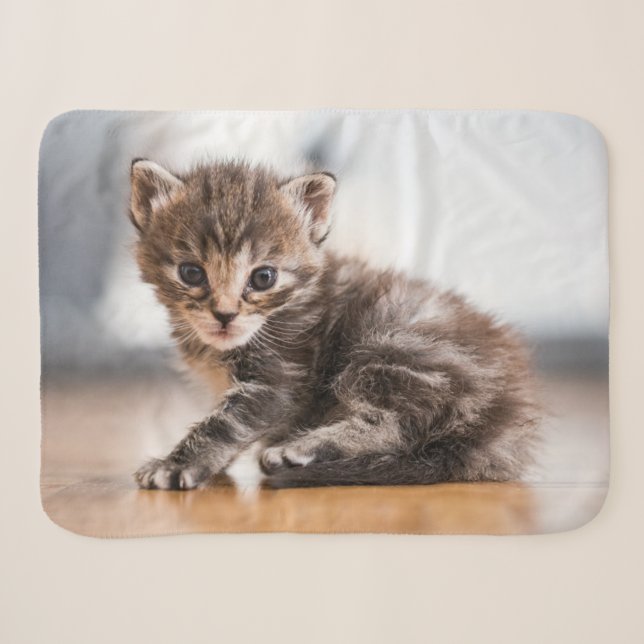 Niedliche Kleintiere | Tiny Tabby Kitten Sherpadecke (Vorderseite (Horizontal))
