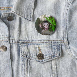 Niedliche Kleintiere   Überraschender Schneeaffe Button