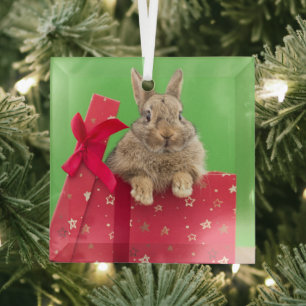 Niedliche Kleintiere   Weihnachtsfeiertag Ornament Aus Glas