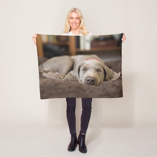 Niedliche Kleintiere | Weimaraner Welpenschlafen Fleecedecke (Beispiel)