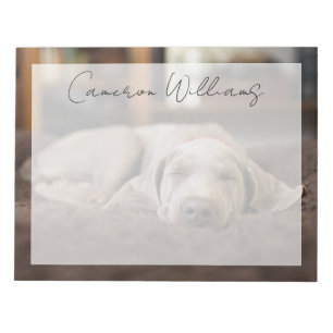 Niedliche Kleintiere Weimaraner Welpenschlafen Notizblock