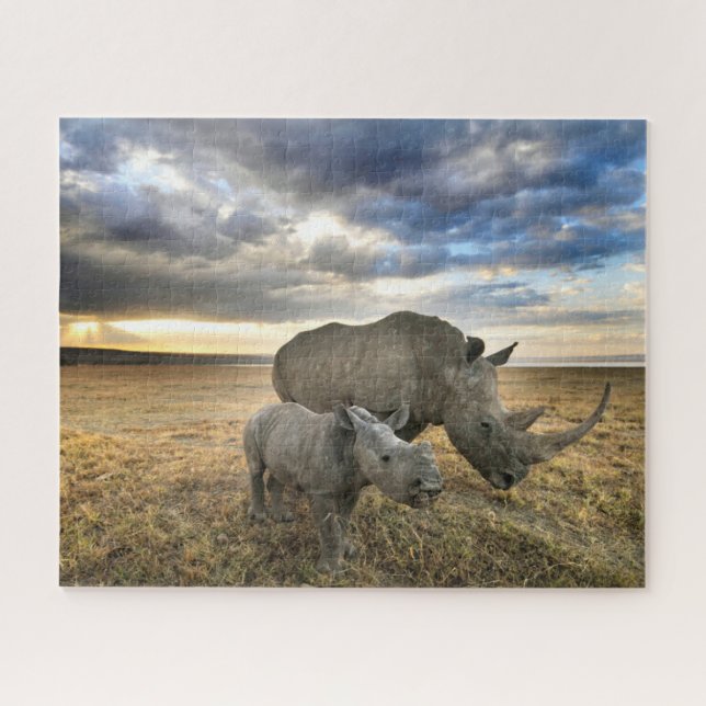 Niedliche Kleintiere | Weißer Rhino und Kalb (Horizontal)