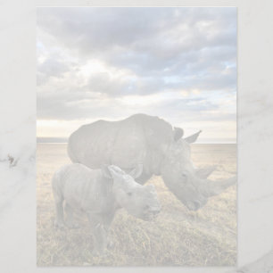 Niedliche Kleintiere Weißer Rhino und Kalb