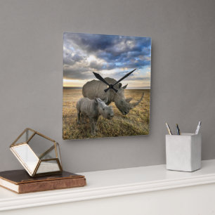 Niedliche Kleintiere   Weißer Rhino und Kalb Quadratische Wanduhr
