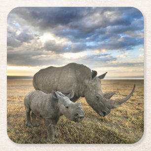 Niedliche Kleintiere   Weißer Rhino und Kalb Rechteckiger Pappuntersetzer