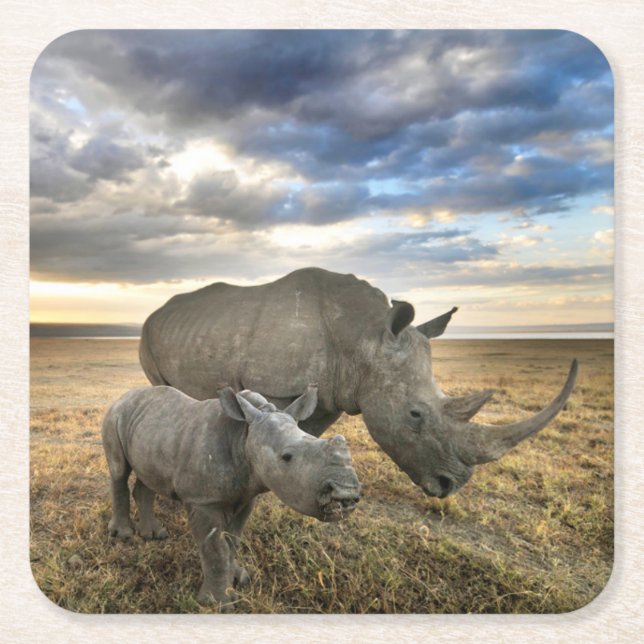 Niedliche Kleintiere | Weißer Rhino und Kalb Rechteckiger Pappuntersetzer (Vorderseite)