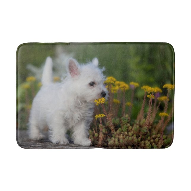 Niedliche Kleintiere | West Highland White Terrier Badematte (Vorderseite)