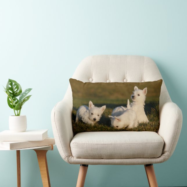 Niedliche Kleintiere | West Highland White Terrier Lendenkissen (Stuhl )